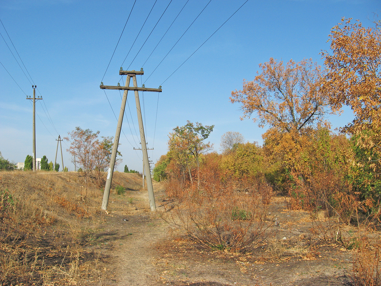 В посадке 2 659709541